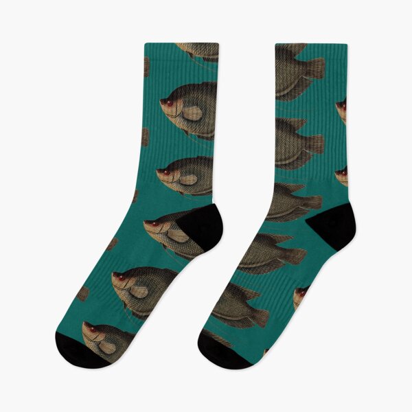 Item preview, Gourami Fish Vintage Scientific Illustration designed and sold by MoPaws.