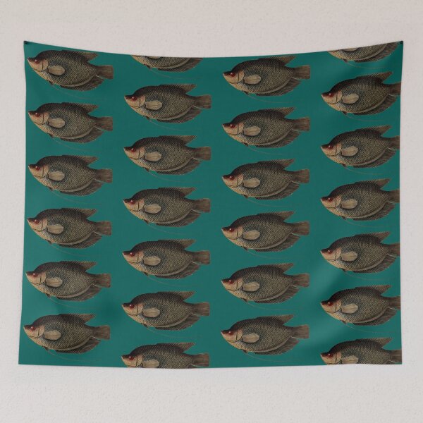 Item preview, Gourami Fish Vintage Scientific Illustration designed and sold by MoPaws.