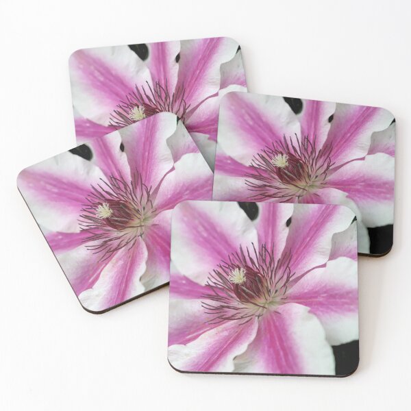 Item preview, Purple and White Flower designed and sold by Danny5.