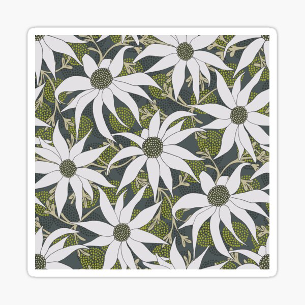 FLANNEL FLOWERS Sticker