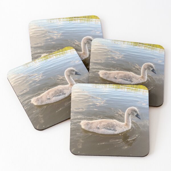 Item preview, Chill cygnet  designed and sold by Narrowboatgirl.