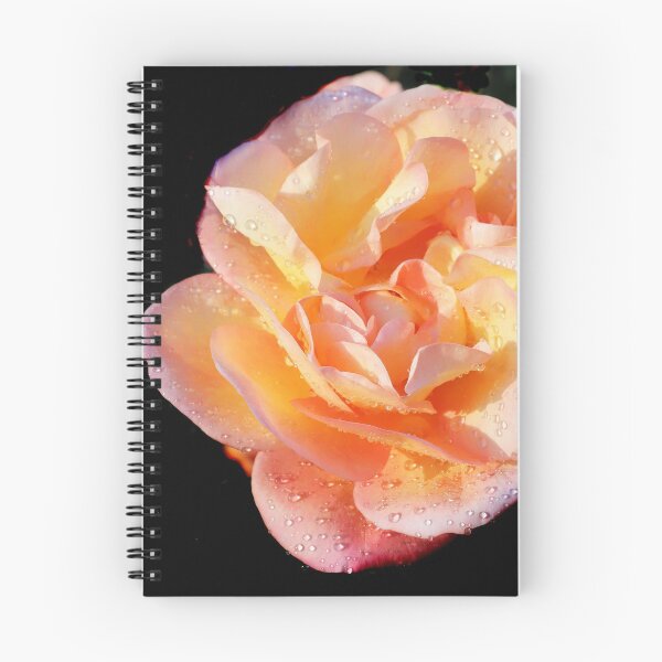 Item preview, Orange Rose designed and sold by Danny5.