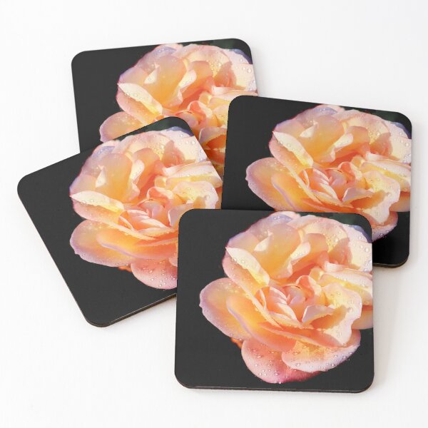 Item preview, Orange Rose designed and sold by Danny5.