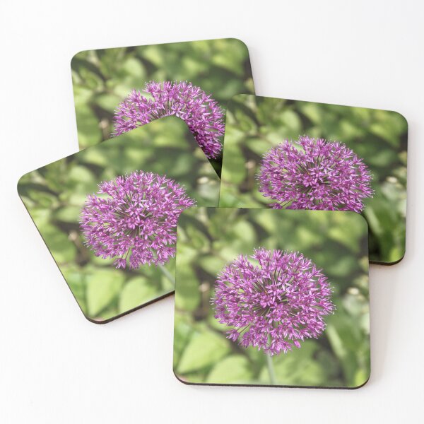 Item preview, Allium pink opening flower head bud	 designed and sold by EstelleRossetti.