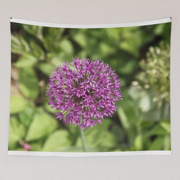 Item preview, Allium pink opening flower head bud	 designed and sold by EstelleRossetti.