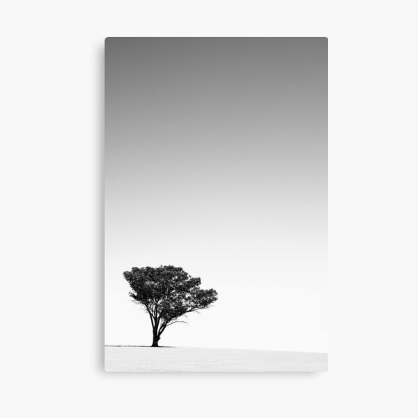 A long dry summer Canvas Print
