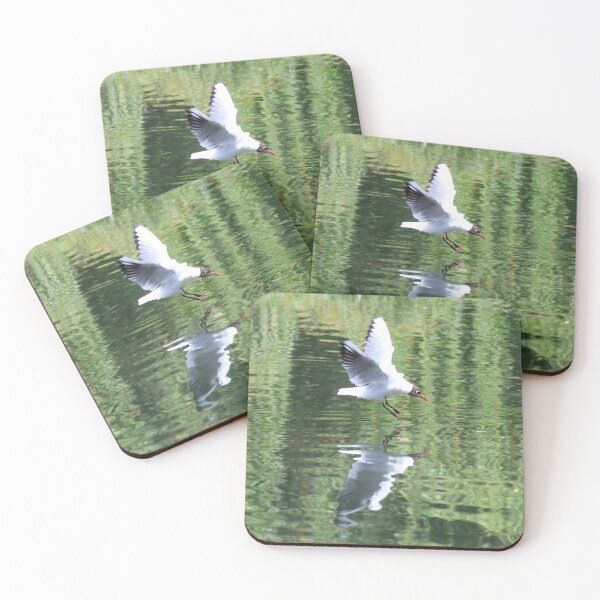 Item preview, Diving Gull  designed and sold by Danny5.
