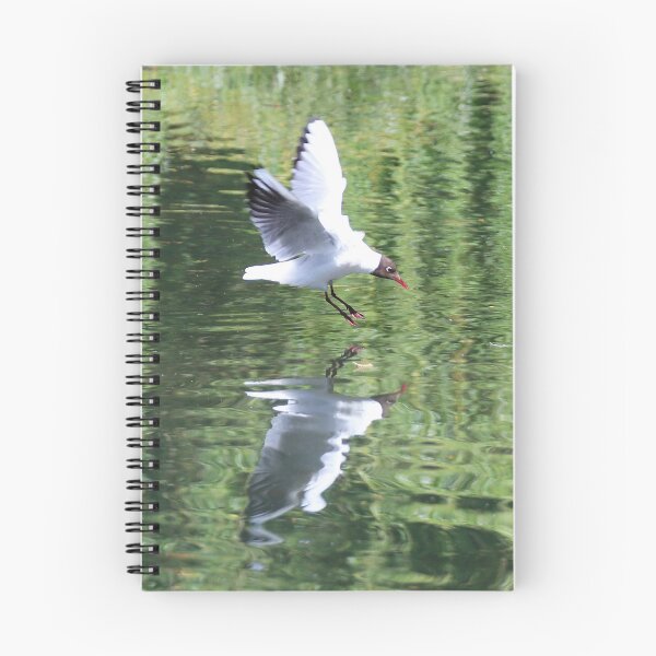 Item preview, Diving Gull  designed and sold by Danny5.