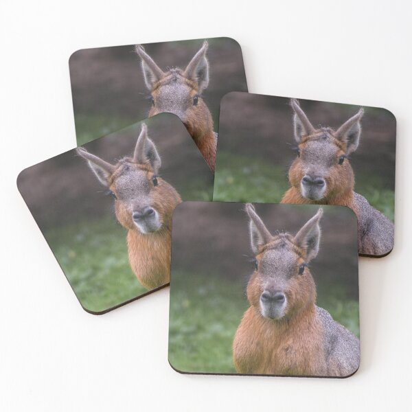 Item preview, Front portrait of mara designed and sold by KcsArt87.