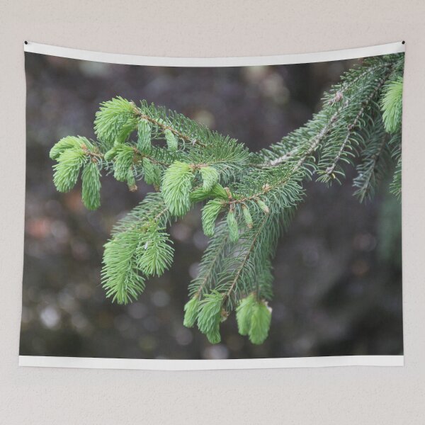 Item preview, Green fresh pine cone bud	 designed and sold by EstelleRossetti.
