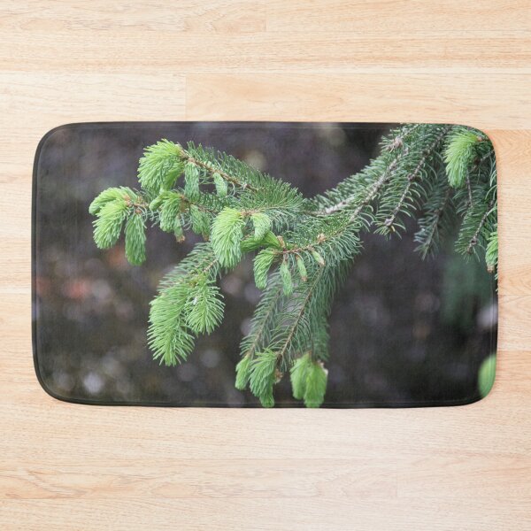 Item preview, Green fresh pine cone bud	 designed and sold by EstelleRossetti.