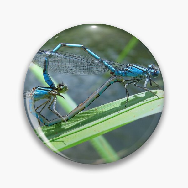 Item preview, Damselfly Sweethearts designed and sold by Sharon Perrett.