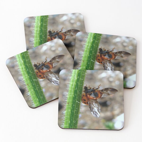 Item preview, Help!!!!!! designed and sold by Sharon Perrett.