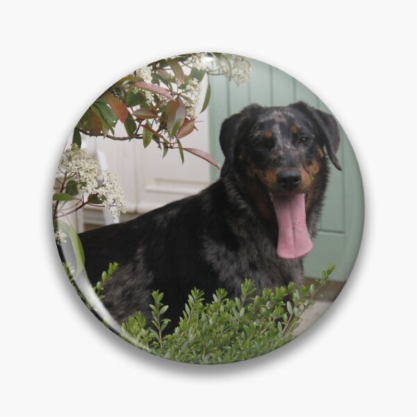 Item preview, Sheepdogs domestic puppy in the garden designed and sold by EstelleRossetti.