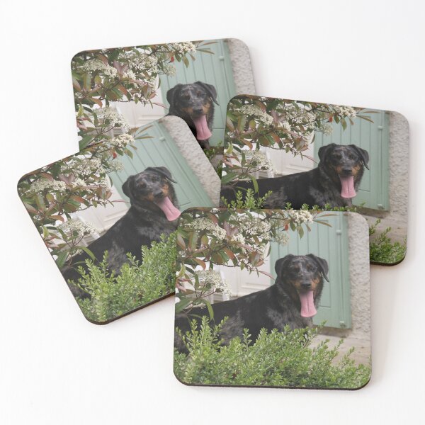 Item preview, Sheepdogs domestic puppy in the garden designed and sold by EstelleRossetti.