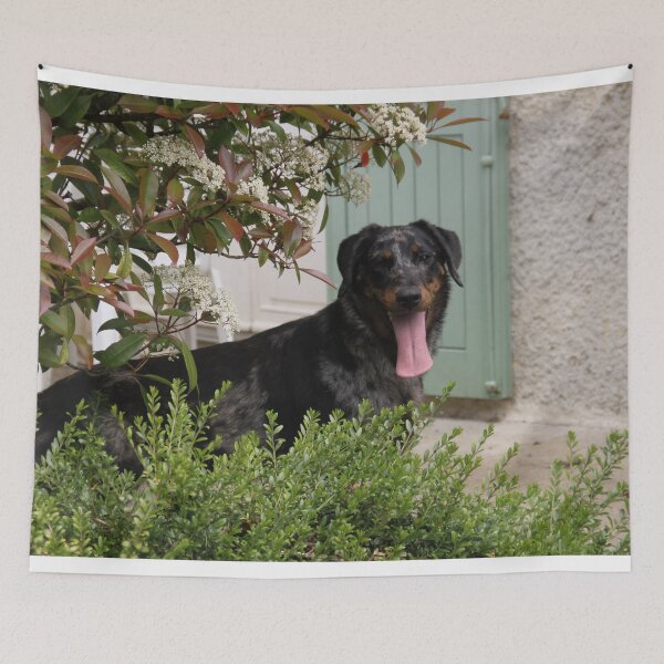 Item preview, Sheepdogs domestic puppy in the garden designed and sold by EstelleRossetti.