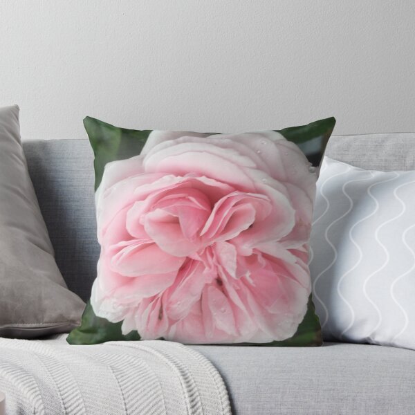 Item preview, Beautiful pink rose design designed and sold by Lucast123.