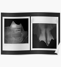 Polaroid Collapse Poster