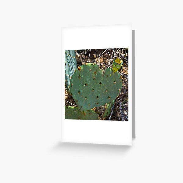 Vista previa del artículo con la obra «Love Like Cactus», diseñado y vendido por Rob Atkinson.