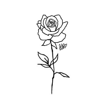 120000 Rose Drawing Stock Photos Pictures  RoyaltyFree Images  iStock   Small rose drawing White rose drawing Rose drawing pattern