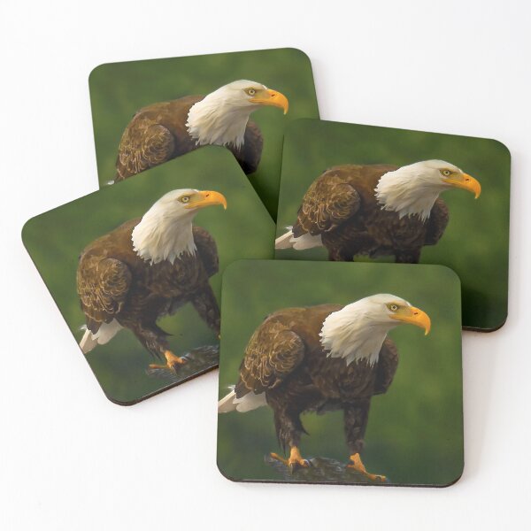 Item preview, Regal Bald Eagle! designed and sold by oliviasphotos.