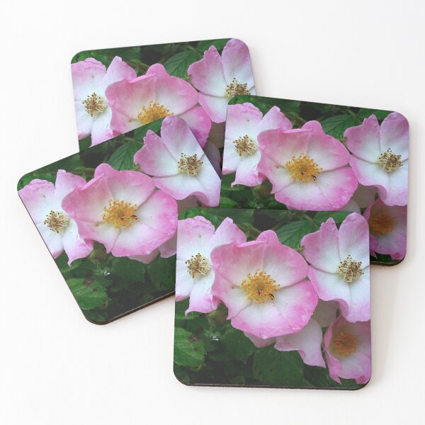 Item preview, Ballerina Rose designed and sold by Sharon Perrett.