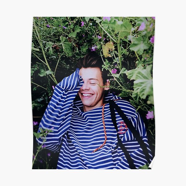 Harry Styles Posters | Redbubble