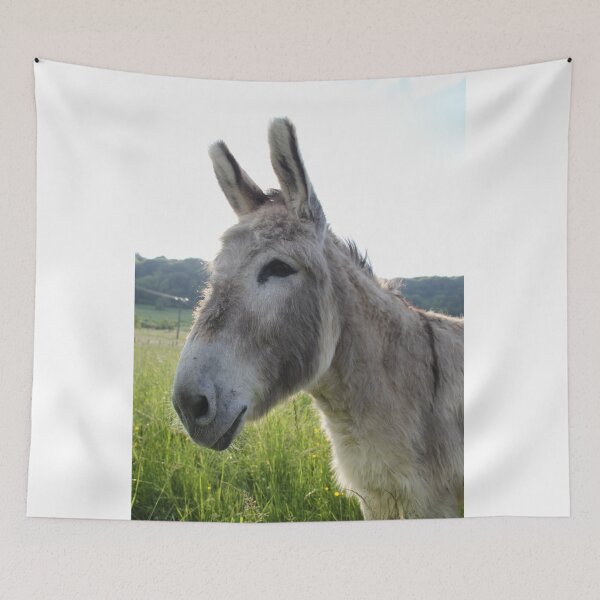 Item preview, Adorable grey donkeys in the high grass meadow	 designed and sold by EstelleRossetti.
