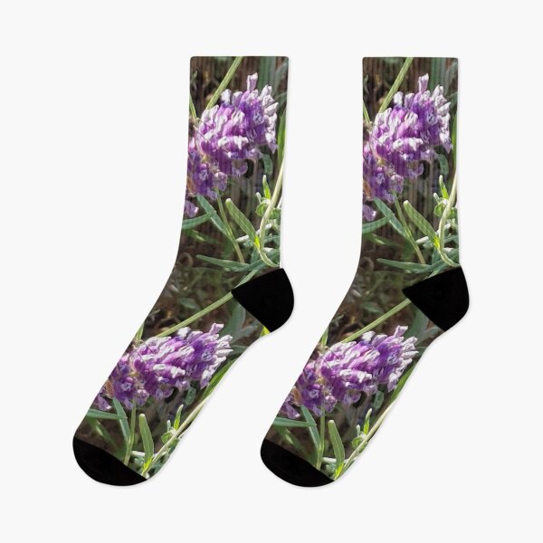 Item preview, Bumblebee 9 on lavender for breakfast designed and sold by ellenhenry.