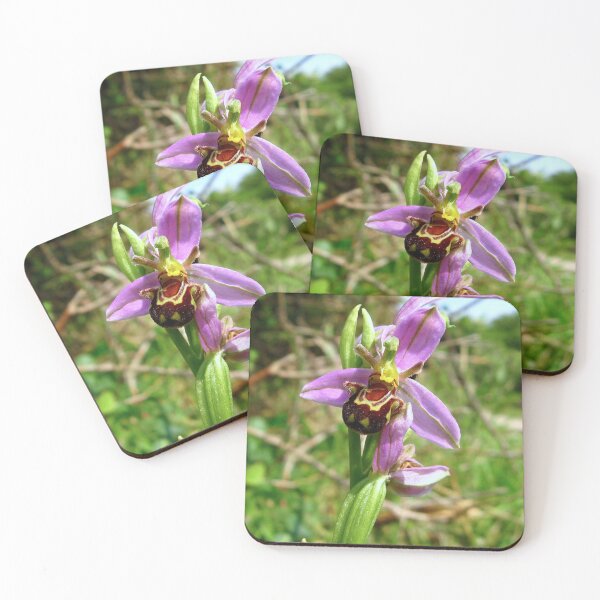 Item preview, Bee Orchid designed and sold by Sharon Perrett.
