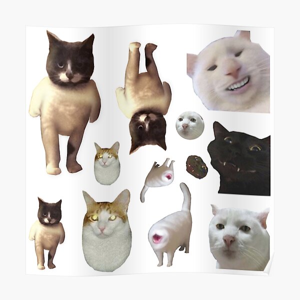 Pack of 12 Cat Memes Sticker Combo - MORE Obscure Cursed Cat Memes 2 Poster