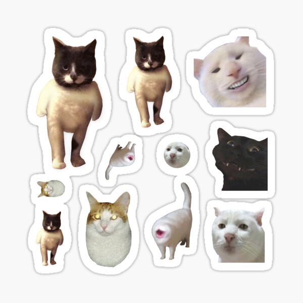 Pack of 12 Cat Memes Sticker Combo - MORE Obscure Cursed Cat Memes 2 Sticker