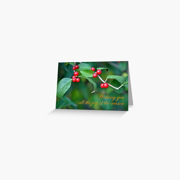 Berries--Holiday Card Greeting Card