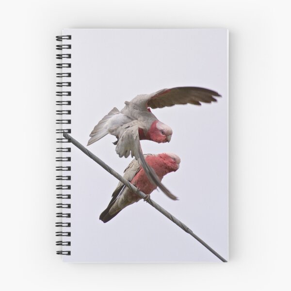 Item preview, PARROT ~ Galah 4Zt6xzba by David Irwin ~ WO designed and sold by tasmanianartist.