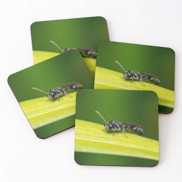 Item preview, Aphid Wasp designed and sold by SorryToBugYou.