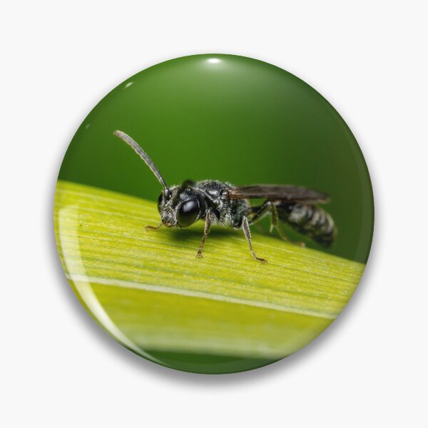 Item preview, Aphid Wasp designed and sold by SorryToBugYou.