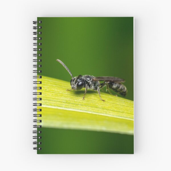Item preview, Aphid Wasp designed and sold by SorryToBugYou.