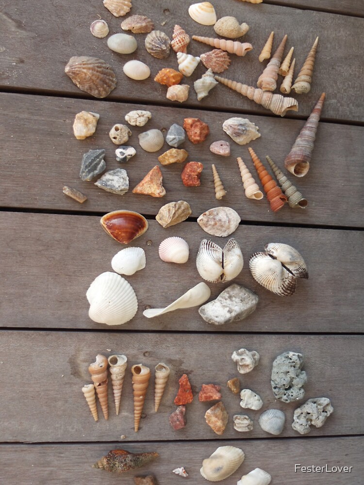 Thumbnail 4 of 4, iPhone Case, Shells designed and sold by FesterLover.
