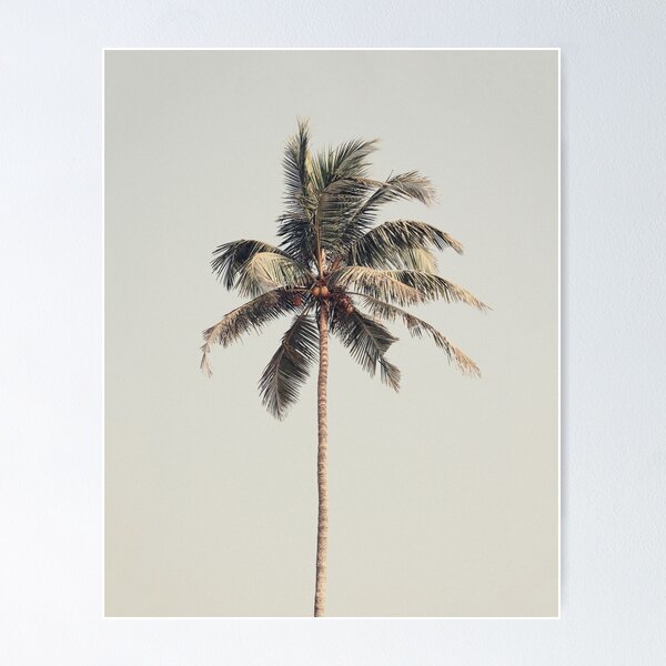 Vista previa del artículo con la obra «Palmera en la playa», diseñado y vendido por victoria frost.