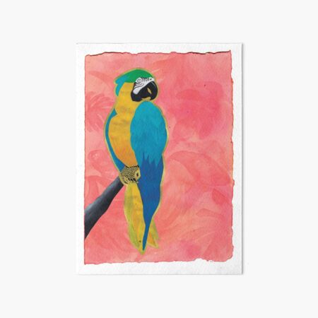 Parrot on Pink Art Board Print