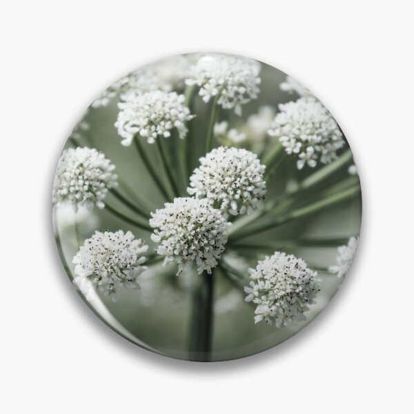 Item preview, Cow Parsley designed and sold by JEZ22.