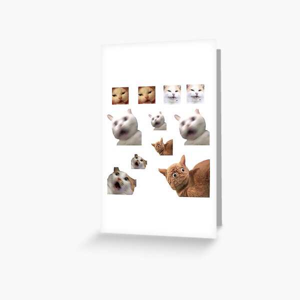 11 pack cats memes sticker combo - weird cat memes 4 Greeting Card