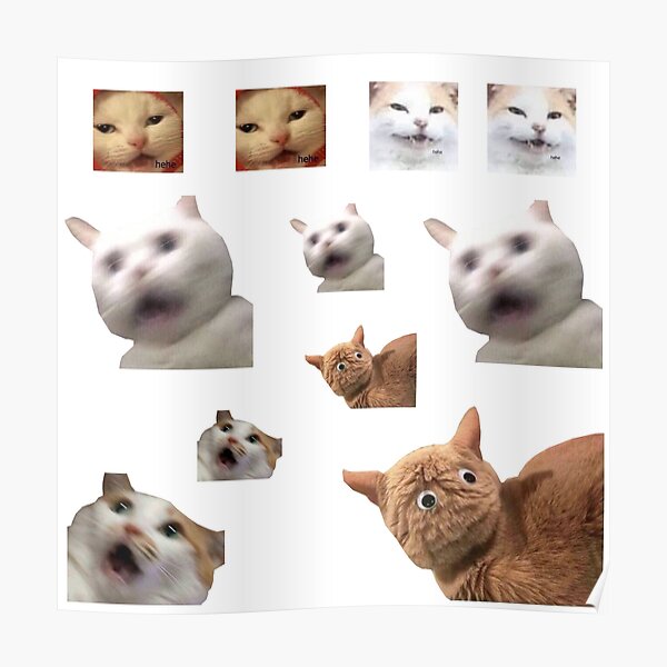 11 Pack Cats Memes Sticker Combo Weird Cat Memes 4 Poster For Sale By Amyshiroi Redbubble 