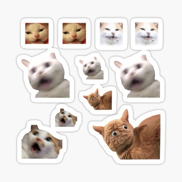 11 pack cats memes sticker combo - weird cat memes 4 Sticker