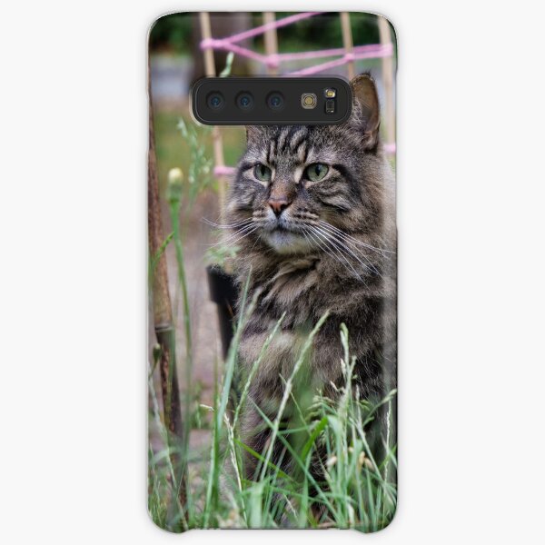 Grey tabby cat in summer looking at the poppy flower with great interest. Samsung Galaxy Snap Case