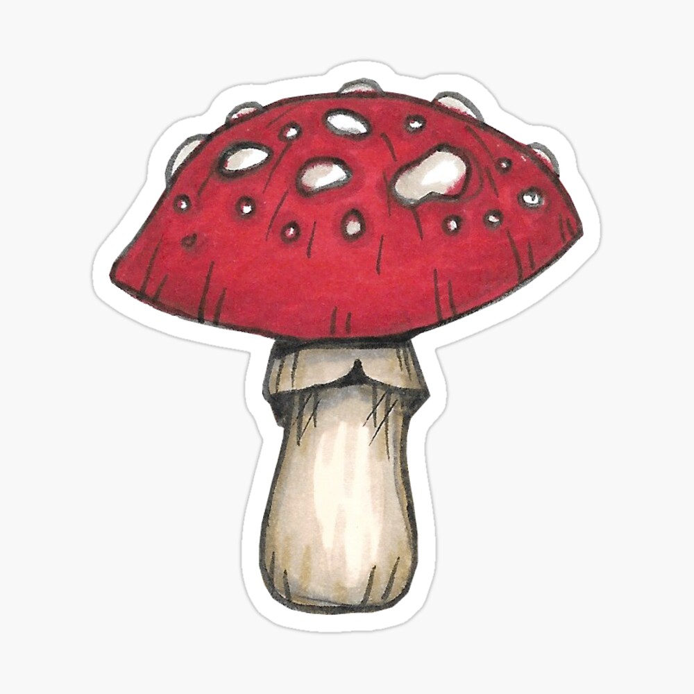 Featured image of post View 27 Mushroom Drawings Aesthetic