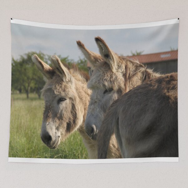 Item preview, Adorable grey donkeys in the high grass meadow	 designed and sold by EstelleRossetti.