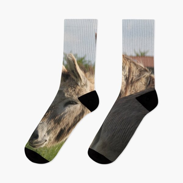 Item preview, Adorable grey donkeys in the high grass meadow	 designed and sold by EstelleRossetti.
