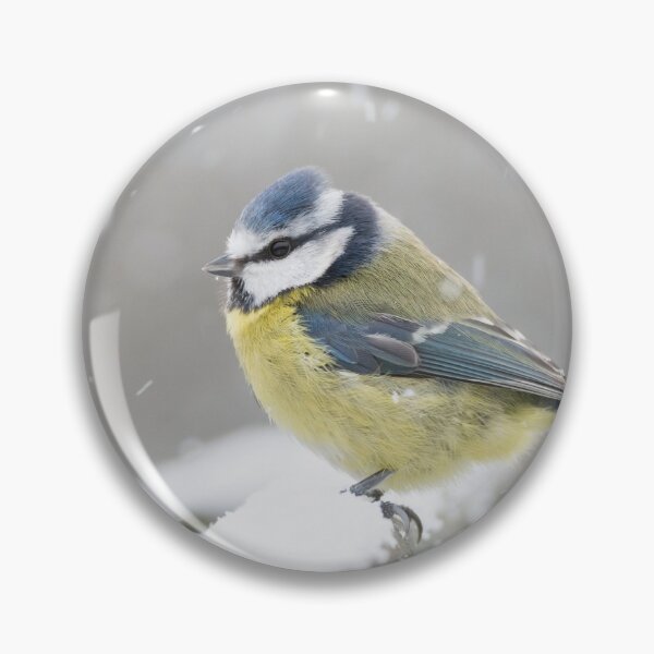Item preview, Blue tit in the snow designed and sold by stevieuk.