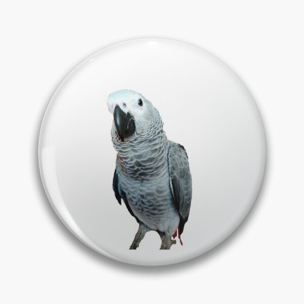 Item preview, Curious parrot looking at you designed and sold by Kapotutikapi.